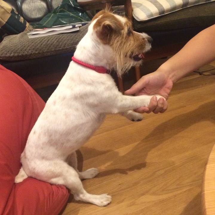 Fb49cbc4 77f5 4a77 adfc 25b84f697299