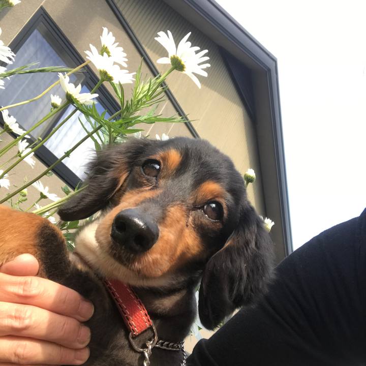 Fb4a0169 b9ca 407b a221 d01d9836c7a5