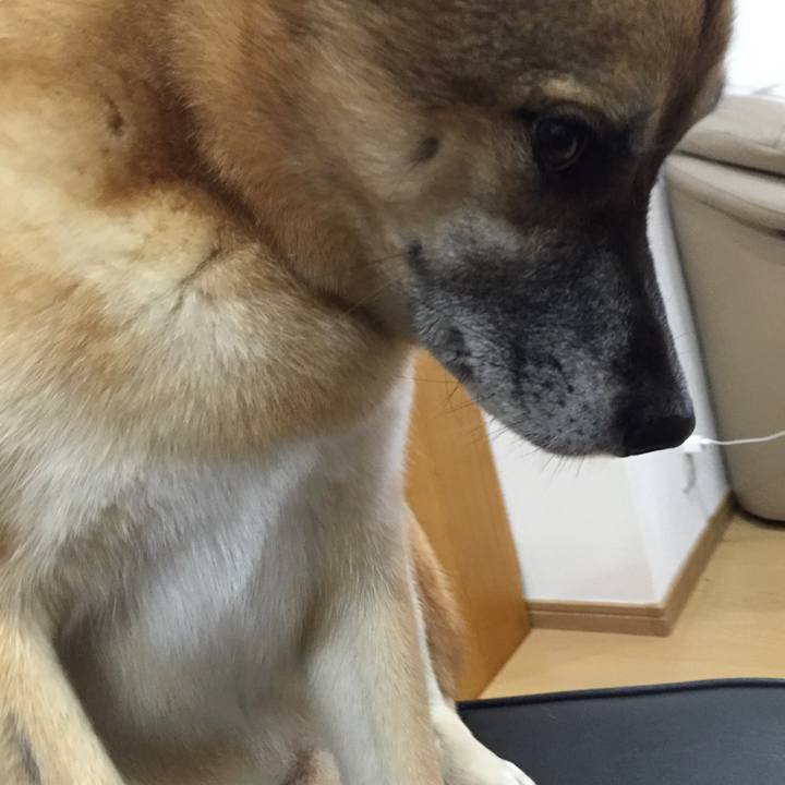 Fb4a5490 0b92 4446 9721 fbd74f0ce751