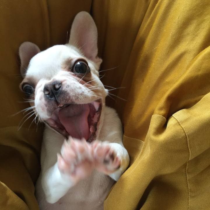 Fb4a631e db56 49bf ad25 3754b9b56875