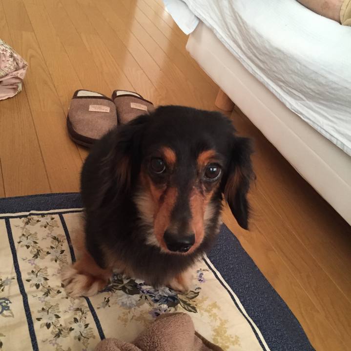 Fb4a64e7 e66b 44aa 88ed e86c162f9fe5