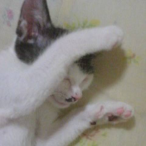 Fb4a7d19 3f0b 4f53 b120 ac2948482848