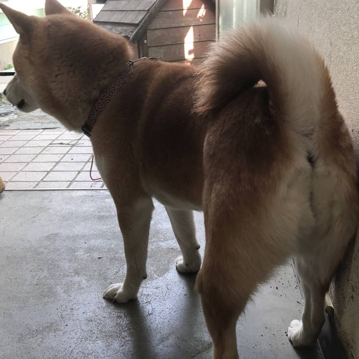 Fb4ab010 e7a3 4abe ad02 c47ae0dbc08a