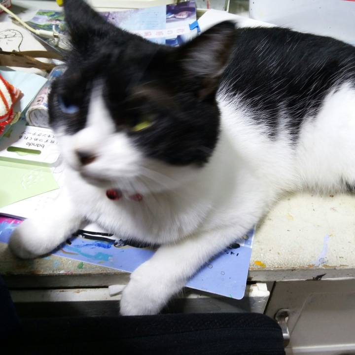 Fb4ad429 abed 47f1 9518 92a896949ebb