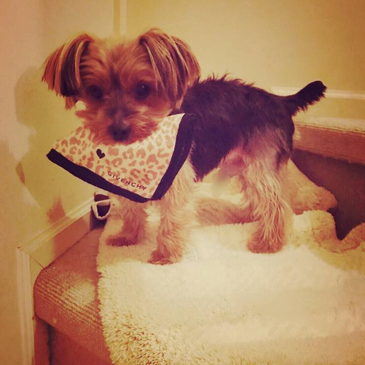 Fb4af307 1aaa 4605 8d85 688cde29872b