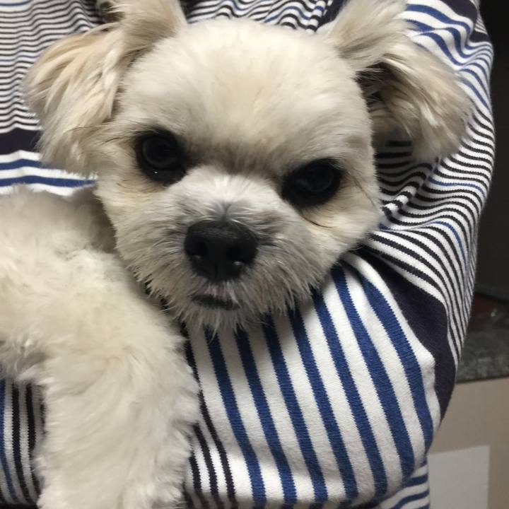 Fb4b06a6 ef17 4c1e 9353 2d3ce4d83273