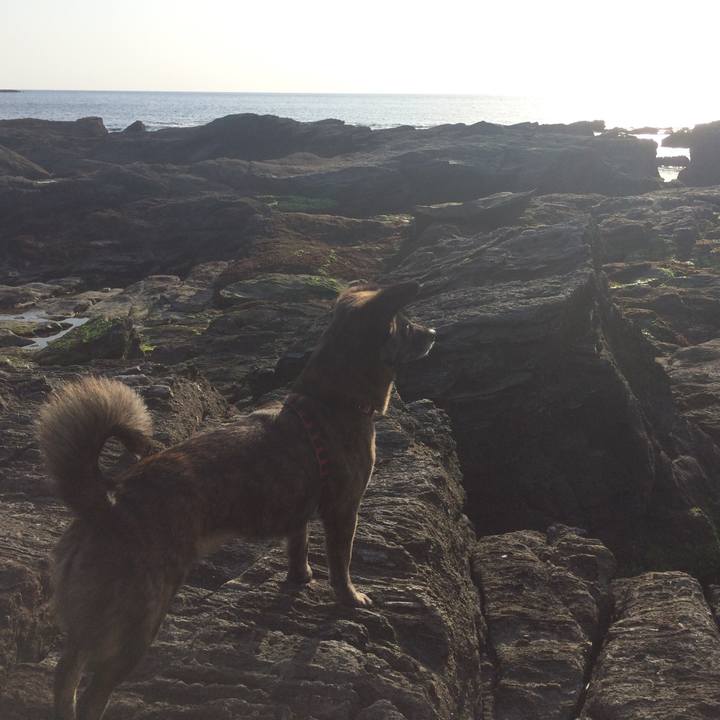 Fb4b3610 d782 4917 ae81 a7cca5e134a8