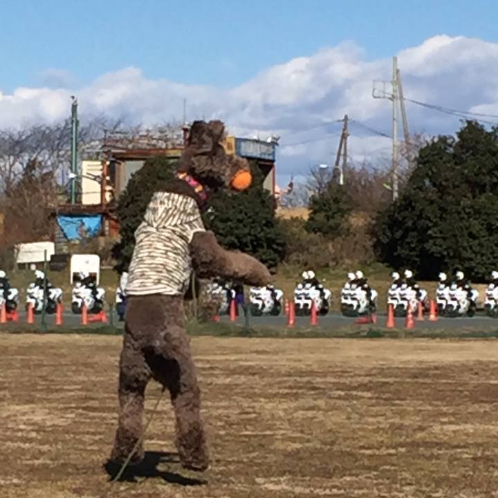 Fb4b7027 4404 4317 8ec4 d4f1437b21ae