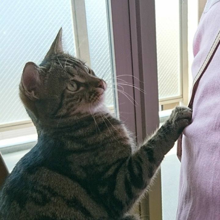 Fb4bcdf7 8d85 4114 9b1a f6513a94bb24