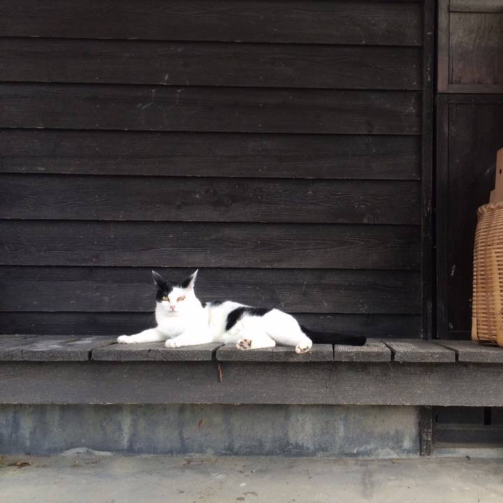 Fb4d2760 a4cb 4eb2 b9d3 a8a64a093386