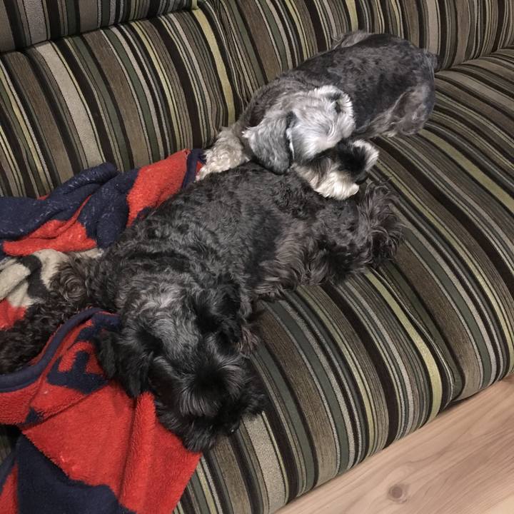 Fb4d99cb 5623 4141 b6c0 cd1edbdbb3d7