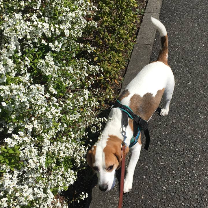 Fb4db616 58ff 40b1 ada1 1fc84f0c7be4