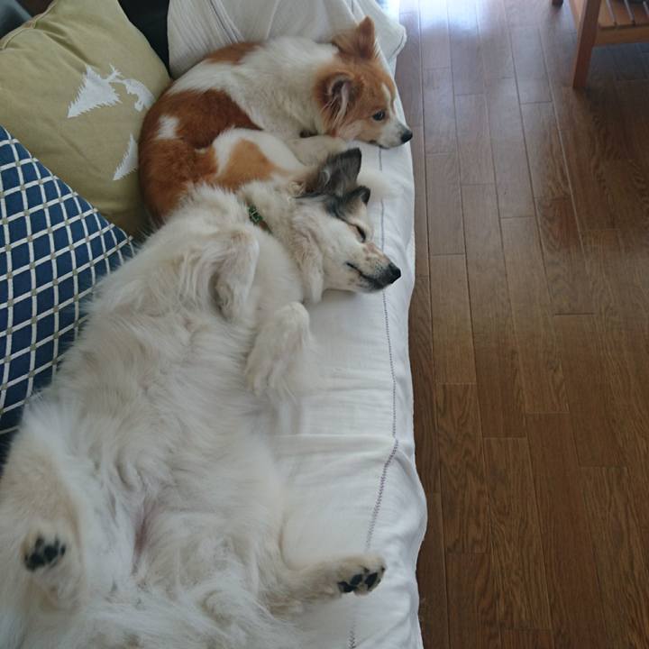 Fb4e3928 e956 4085 b888 75183fa979f5