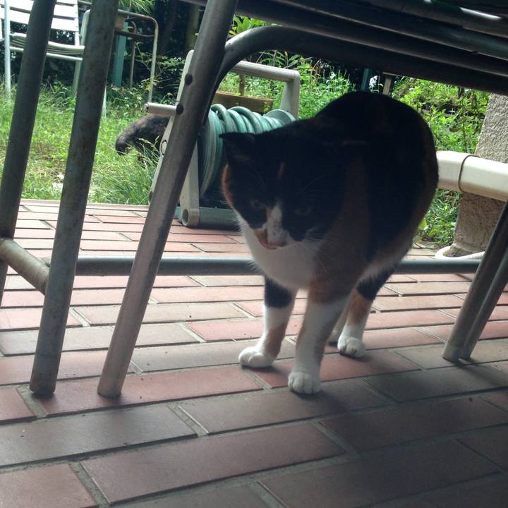 Fb4e7bc4 d4af 49f2 ac1b 5de5ccb06d86