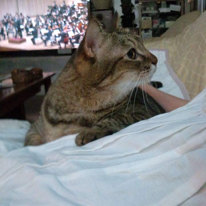 Fb4eb325 0c9c 4942 93d8 a83b7a5b196f