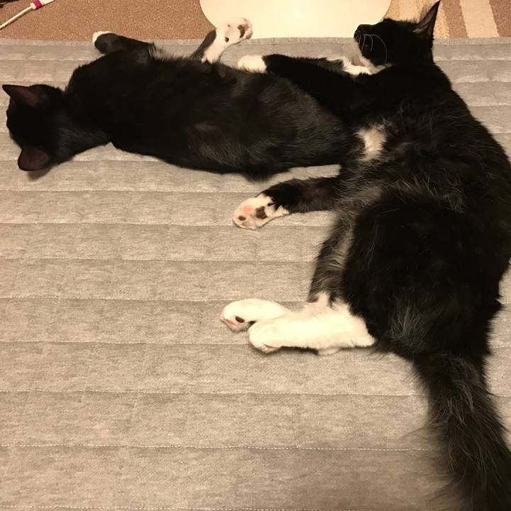 Fb4ec9a5 8fa2 4895 bf05 69d049eaffdb