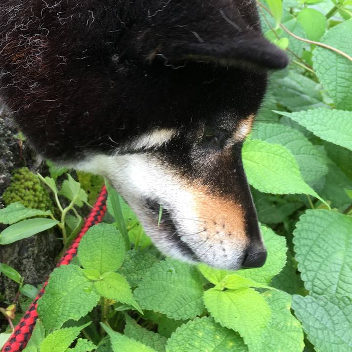 Fb4f2428 d0bc 43fd bf13 7b3eeb278beb