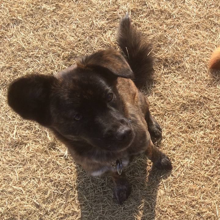 Fb4f9d6d 5c1b 4dd6 bf1a 99c48111a00a