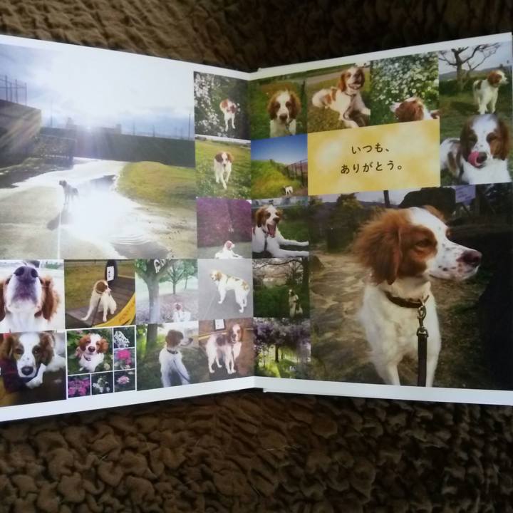 Fb4fe35c 62d5 4450 8d29 78d21f6643a9