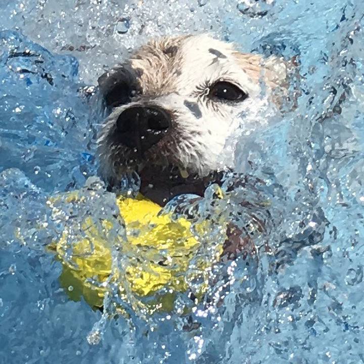 Fb5036f4 59ec 44bb b527 38a2daaa7eb0