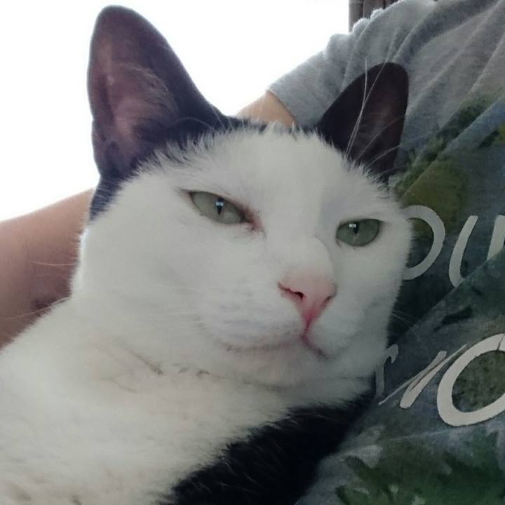 Fb511148 f9bd 470f 835c b6f37a7d6c23