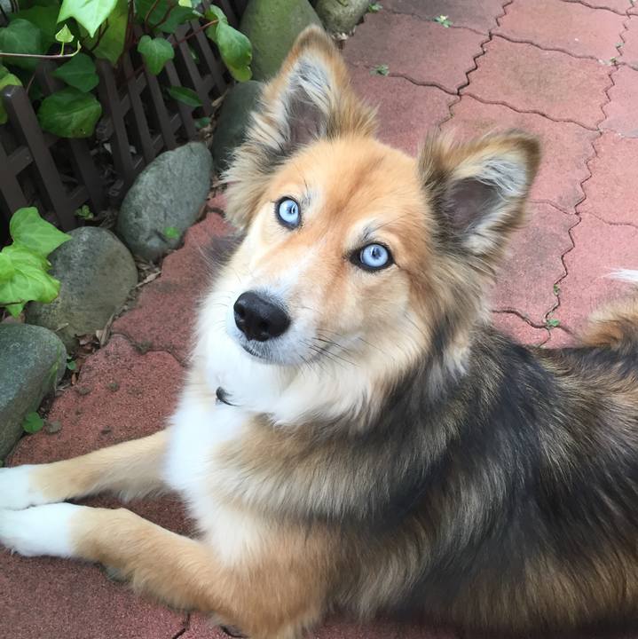 Fb517361 c9ae 46e1 817f 18f8b2de214a