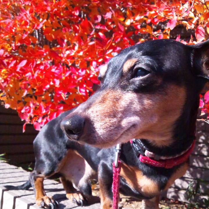 Fb51a63d 2e6b 4dbf 871f 74789fed7798