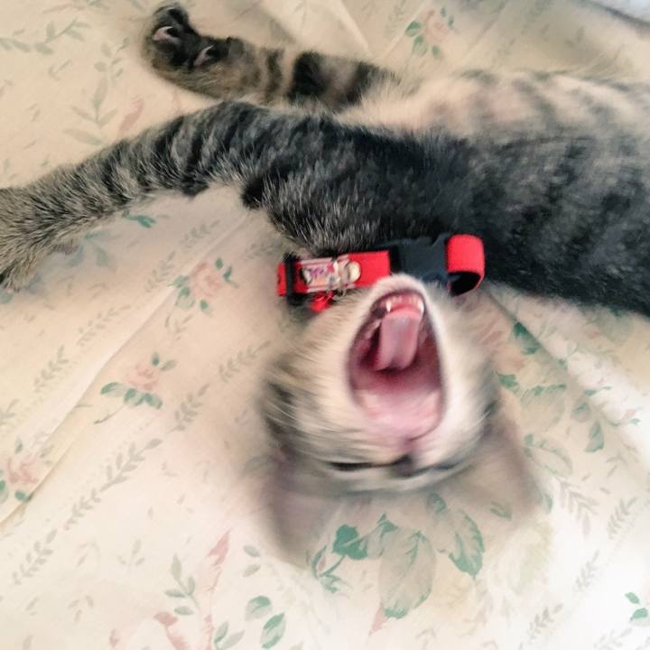 Fb5220b0 6291 4262 8322 5ae588da3449