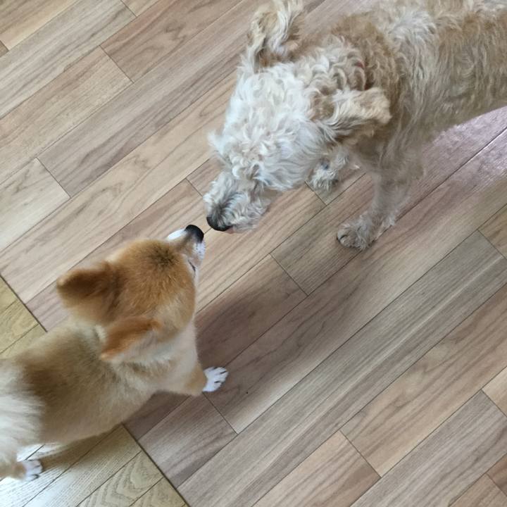 Fb52393e b0bb 4432 8215 da9ee607b447