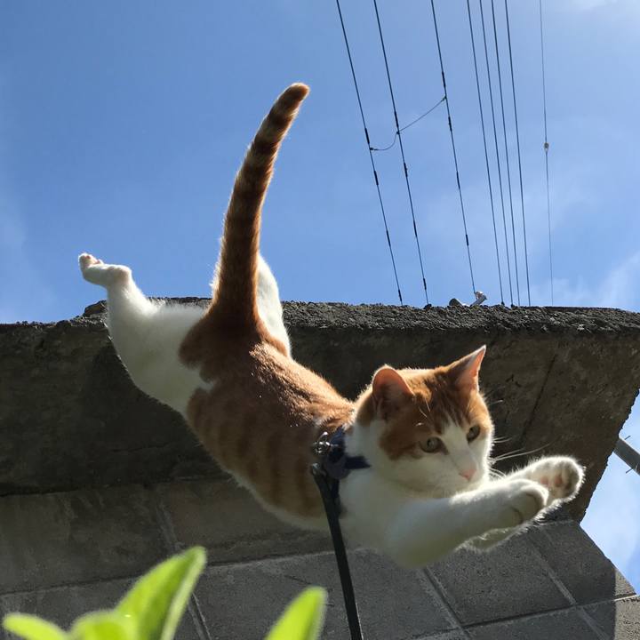 Fb535e63 96b9 43fd b6de db003bb350f1