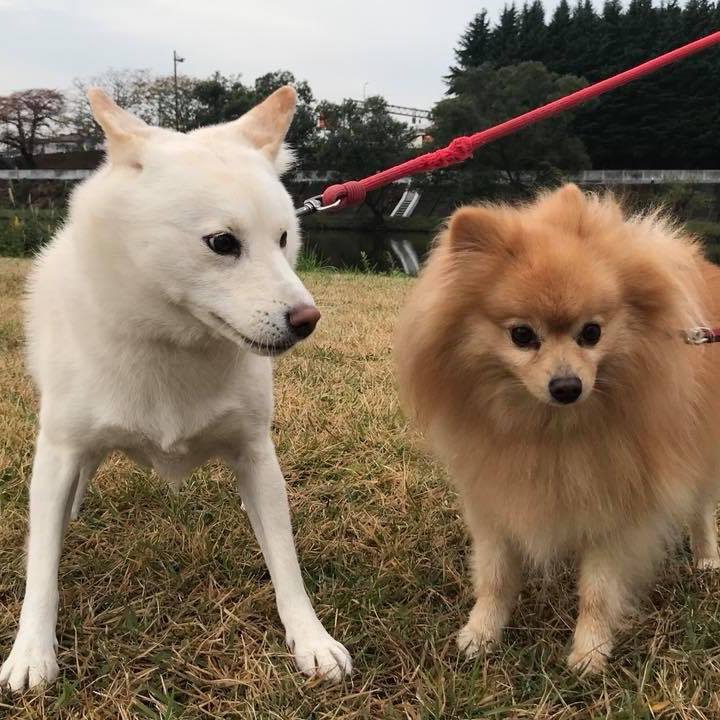 Fb536840 b90a 42a6 92f9 285a96a499e8