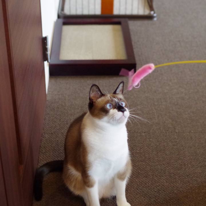 Fb53b77e 7c8d 4522 9f72 bfc93ac60186