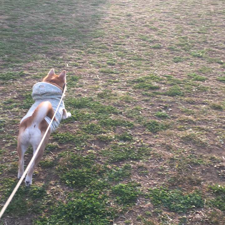 Fb556a95 59e1 4b25 82dd 3c659b0b957e