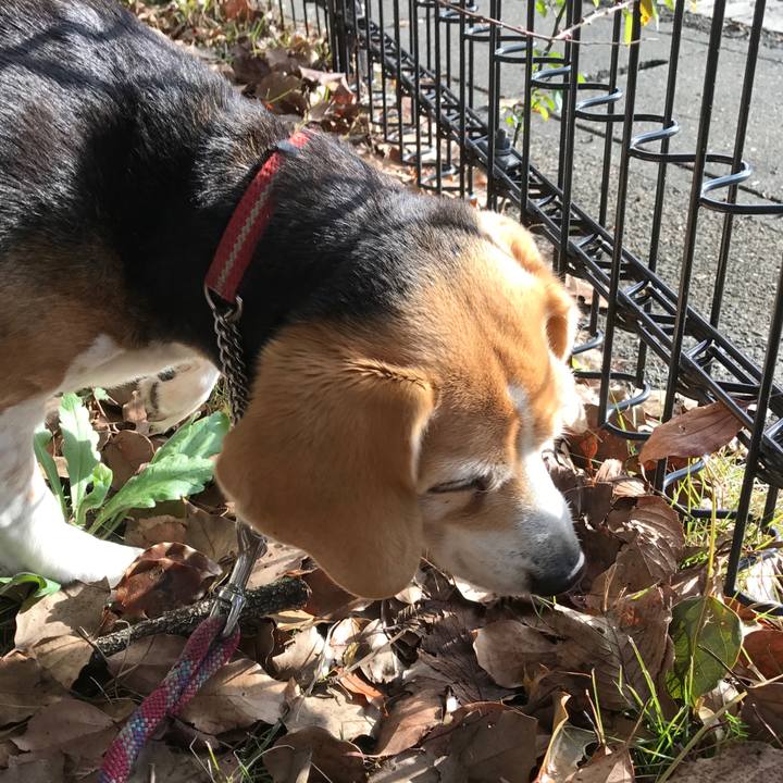 Fb558793 7a22 4656 a4c4 d4ae3d2fa6f0