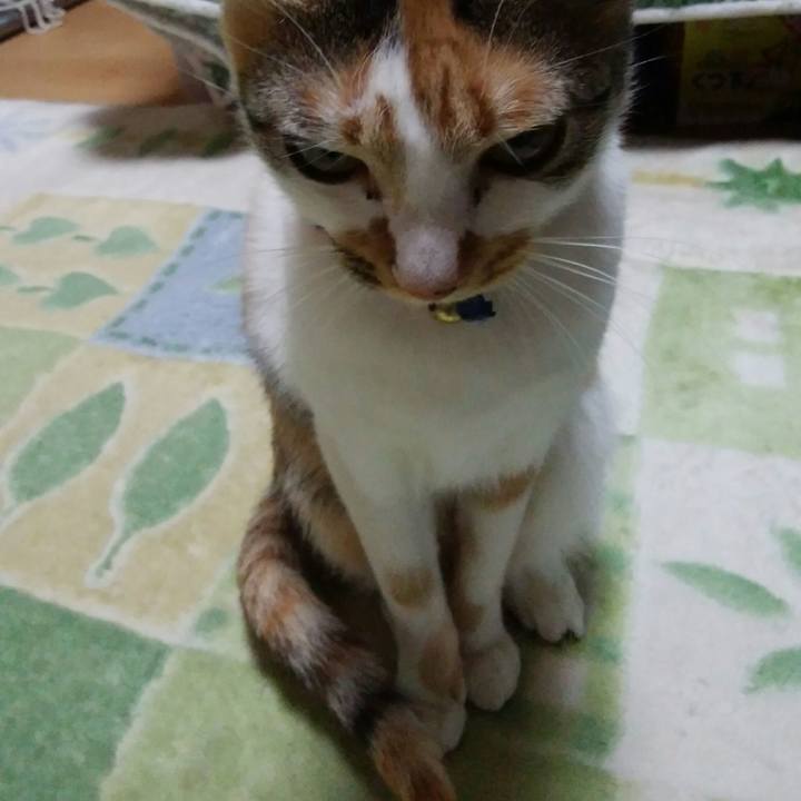 Fb55a524 d2be 4557 842b 731b3ca64e2e