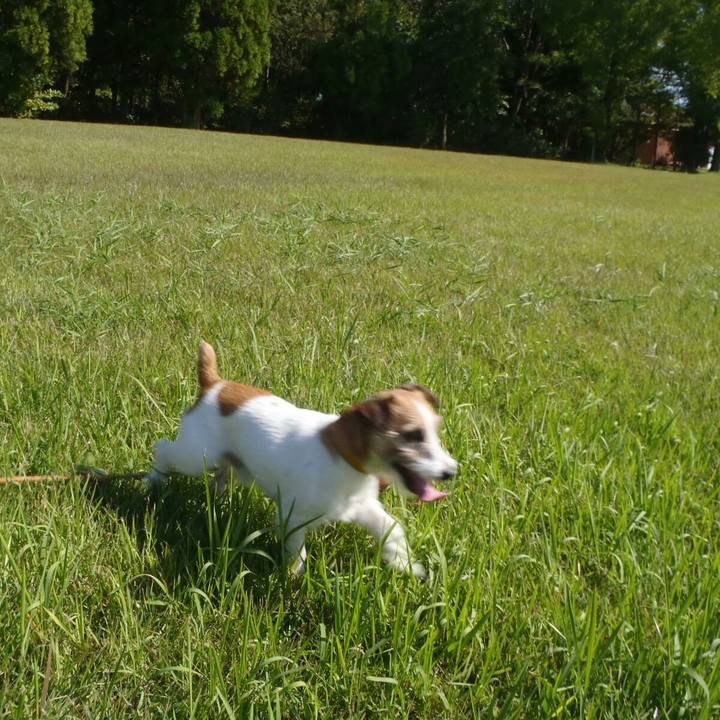 Fb55b02a 9c9b 499d b7bc efe0ffc49d42