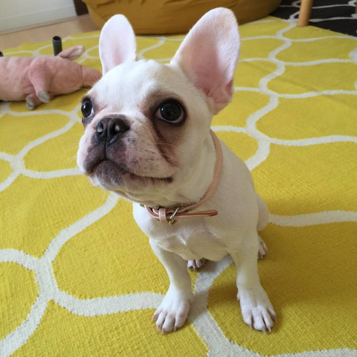 Fb55f2e9 abf5 454a b8bb 5a1e305ac064