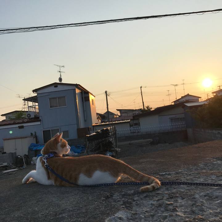 Fb564447 8aee 4d9c baac e20aac8d7c7f