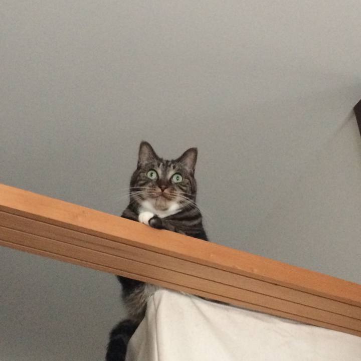 Fb58520d f658 47c0 8096 d0741c6c9925