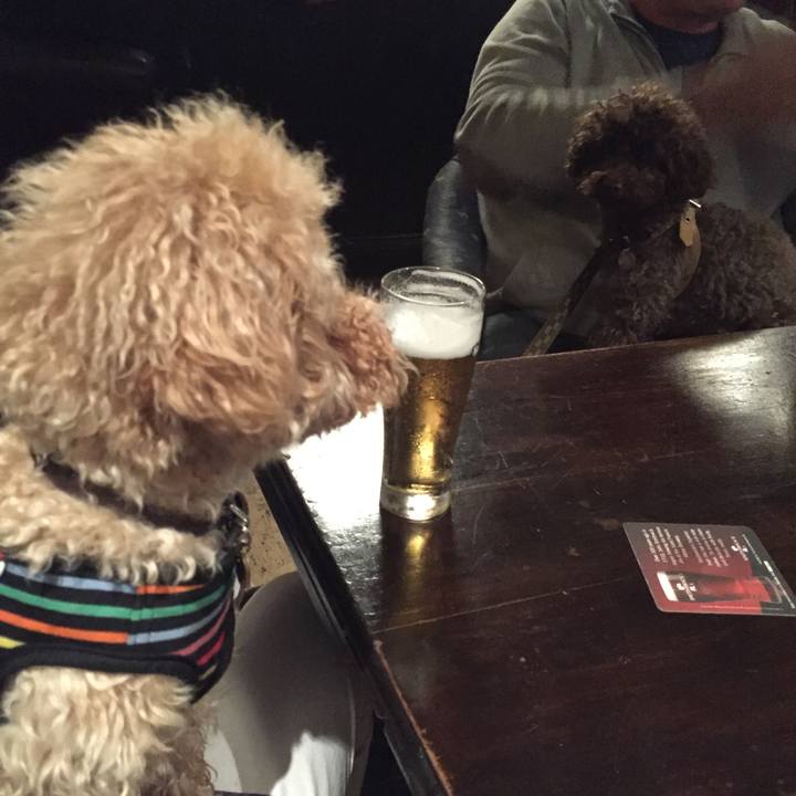 Fb588ecd c365 45d0 a6d4 79b74563419b