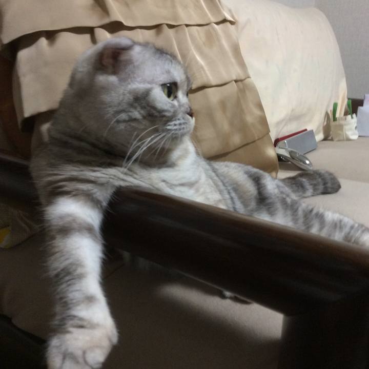 Fb58d813 f337 4bb4 b07f dc1c24419c1c