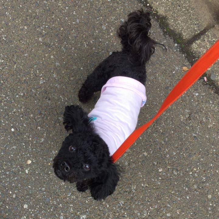 Fb59dee7 8de7 4eae 8d93 8adfd82e9bdf