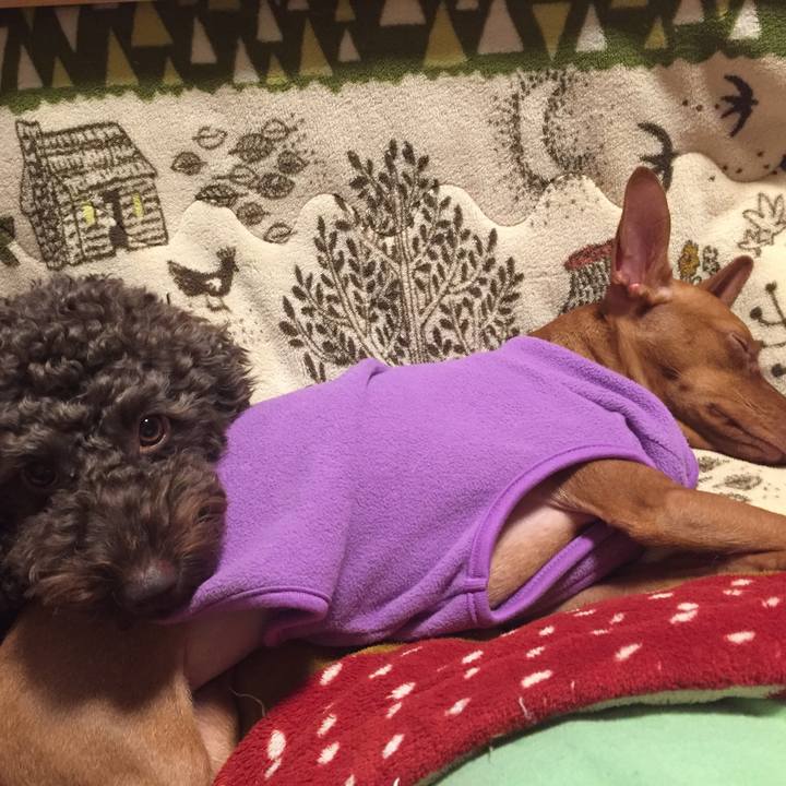 Fb59f03e 57f7 4a59 8fe8 da1957bc91a8