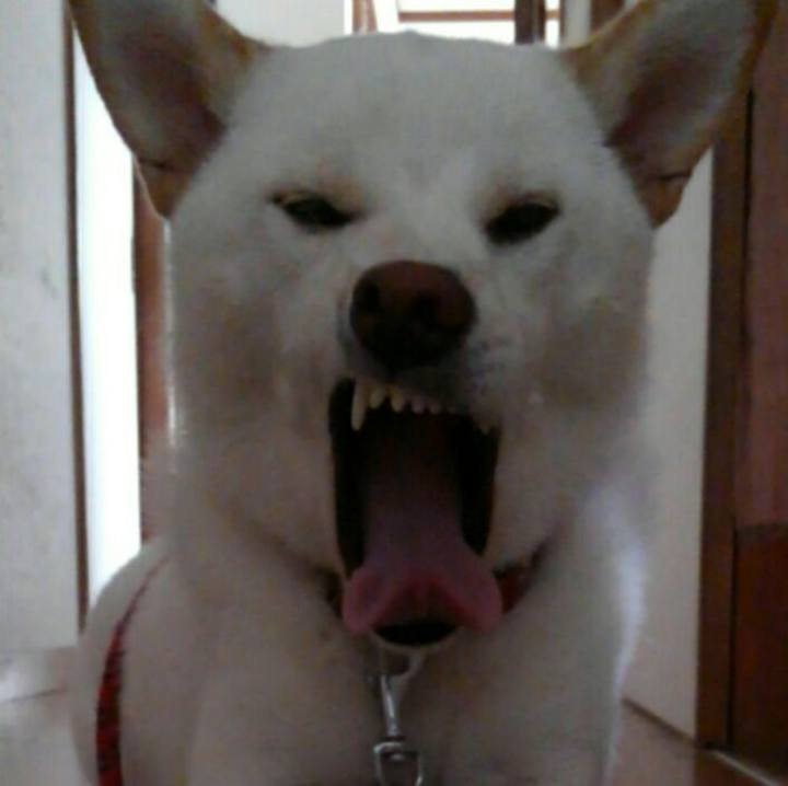 Fb5ad51c d704 4438 a034 d64238476bc5