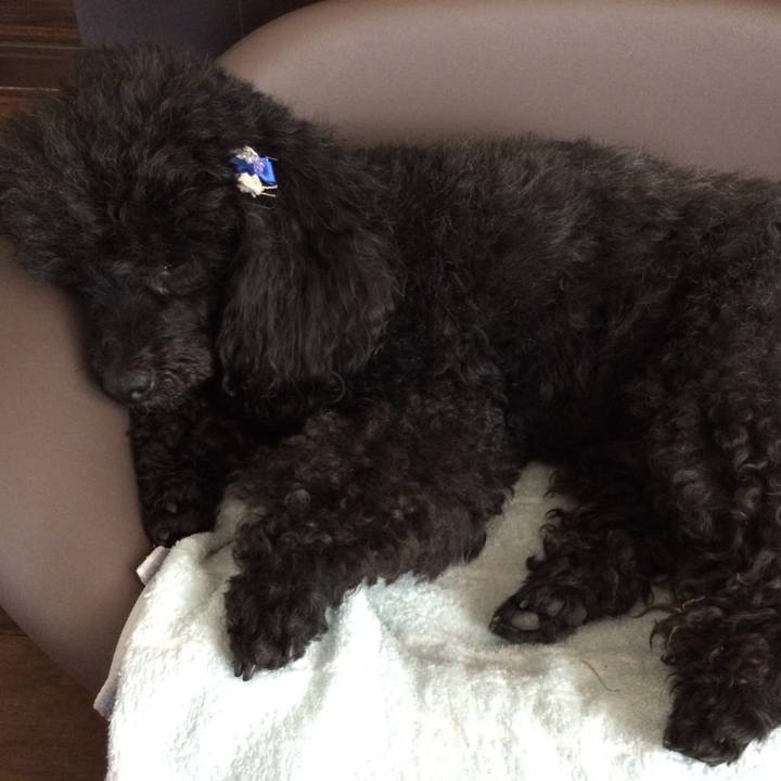 Fb5b6700 298a 42ad 8b00 d18be12e7e35