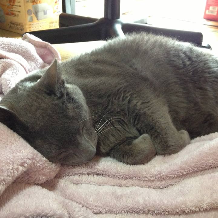 Fb5bd950 6852 4aec 9133 20cffcc3a42a