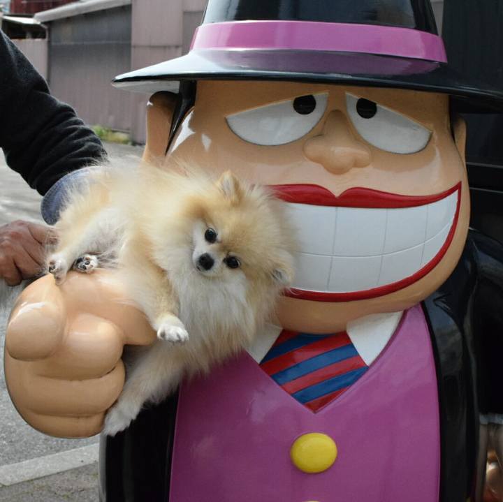 Fb5c2058 af9f 4e06 b0ef 2129a234cc78