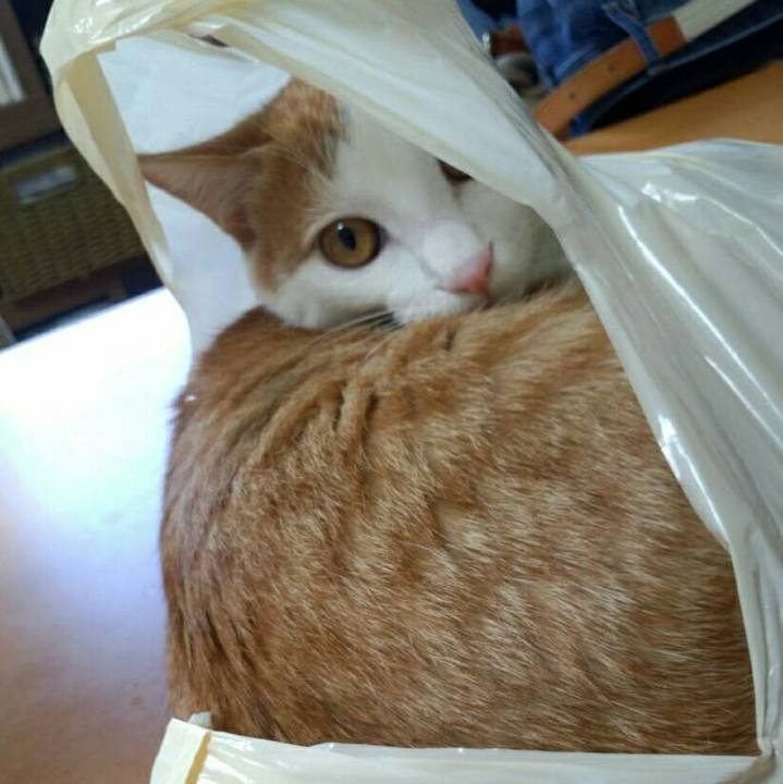 Fb5c4a60 eea7 44fb 82df 08562320e8f1