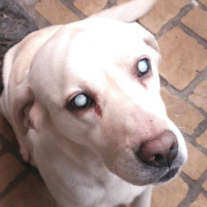 Fb5c5f92 b18d 472f 9c2d 3245107e05a8