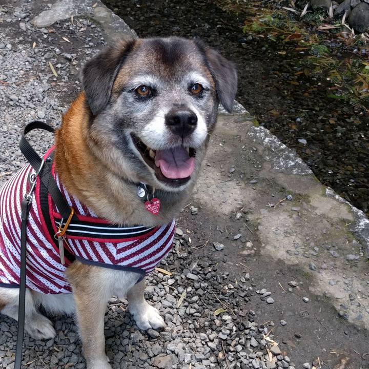 Fb5c689b 3c99 4260 bab6 7bd135092f9c